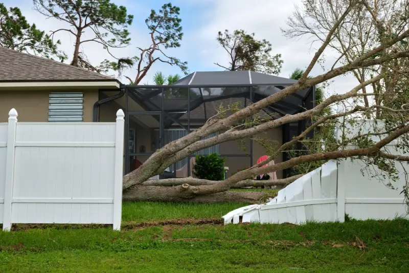 Tree Hazard Assessment Services, Tree Risk Assessment, Tree Risk Assessments, Tree Failure, Assess Trees, Qualified Arborist, Potential Targets, Damaged Trees