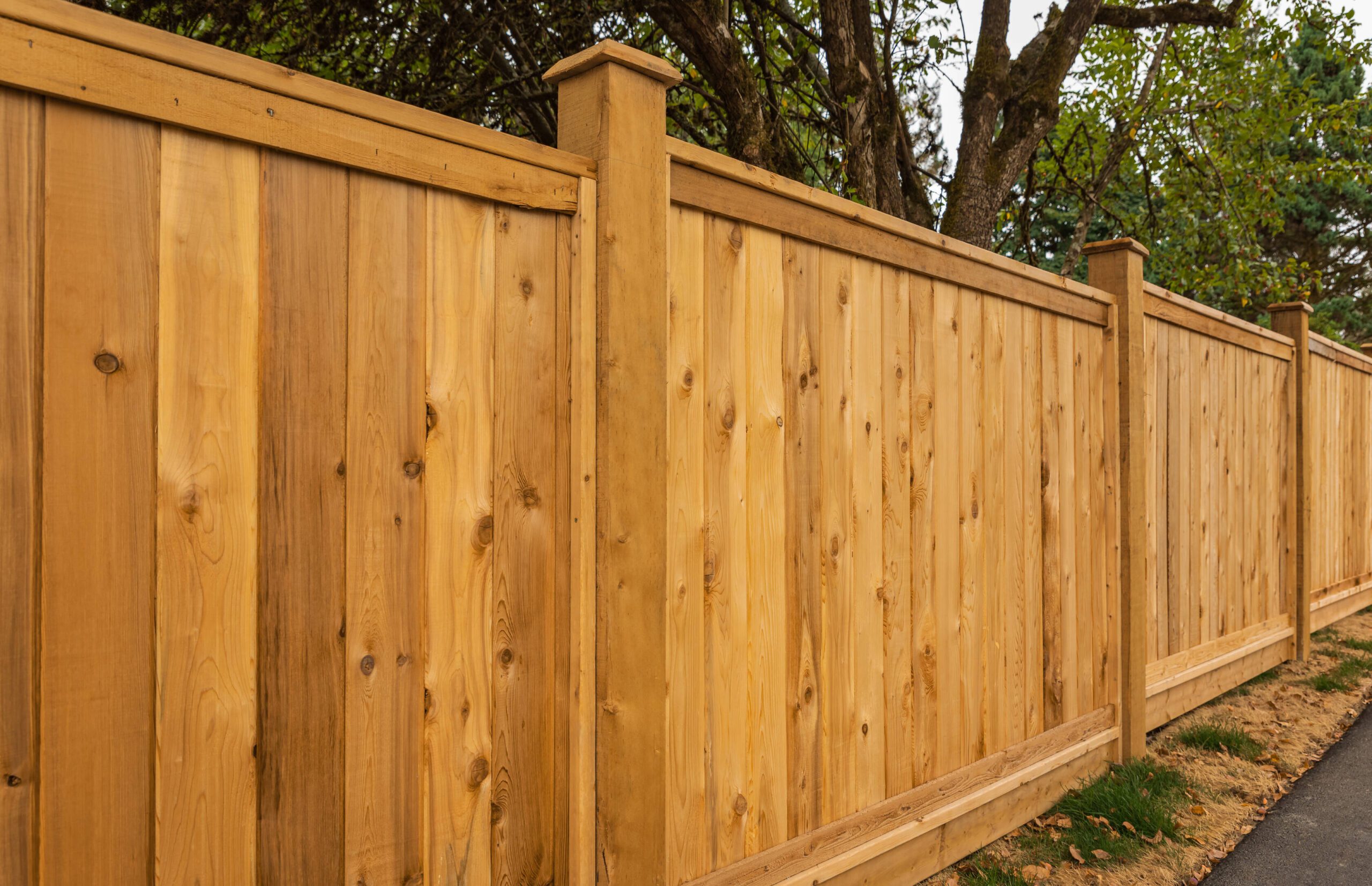 All Your Fencing Needs, Fencing Services, Wood Fencing, Wooden Fence, Existing Fence, Fence Gate, Wood Fence, Staining Services, Fence Repair Companies